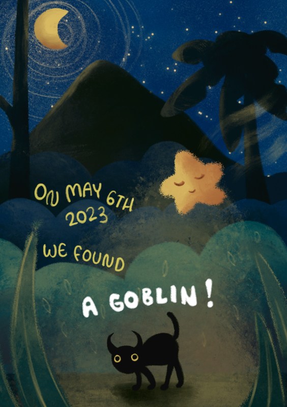 Goblin cat night announcement